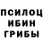 Галлюциногенные грибы Magic Shrooms A Meyer